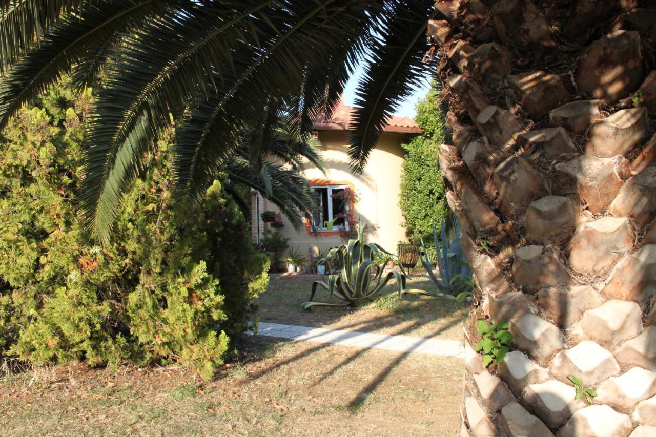 Country-House Pecora Nera Pensionat Mosciano SantʼAngelo Exteriör bild